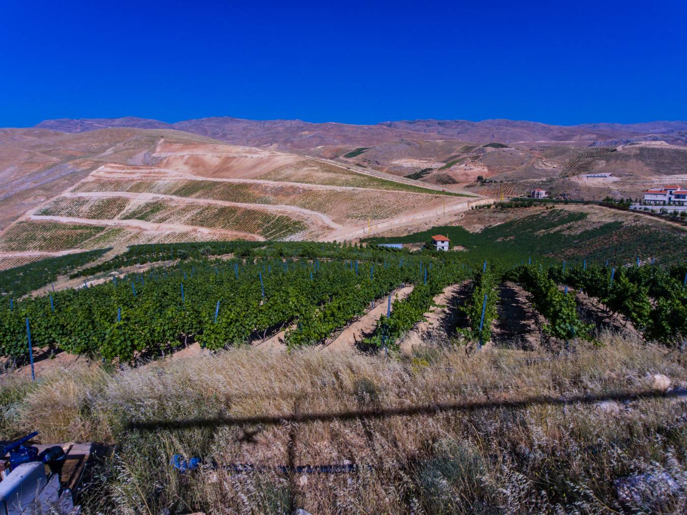 Chateau Trois Collines is a newer addition to wine producers in Lebanon